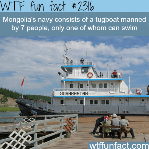 Mongolia's  navy - WTF fun facts