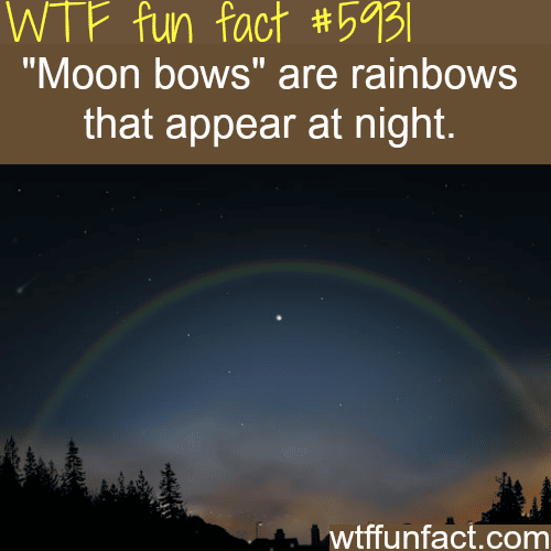 Moon bows- WTF fun facts