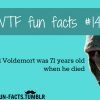 more of wtf fun facts are coming here funny