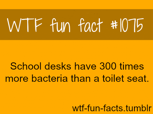 more of wtf fun facts are coming here funny and