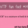 more of wtf fun facts are coming here funny facts