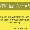 more of wtf fun facts are coming here funny laws