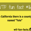 more of wtf fun facts are coming here here is the