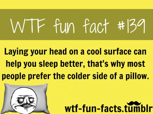more of wtf fun facts click here funny weird