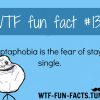more of wtf fun facts here