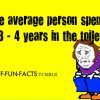 more of wtf fun facts here we mix fun with