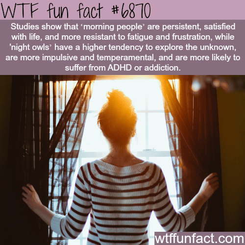 Morning people - WTF fun fact