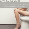 morning poop wtf fun facts