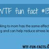 mother 3 more of wtf fun facts are coming here