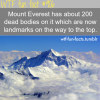 mount everest facts