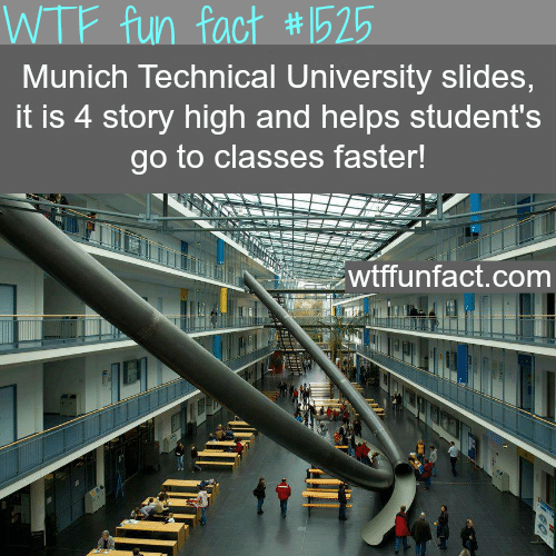 Munich Technical University slides - wtf fun facts