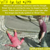 murder in google street view wtf fun facts