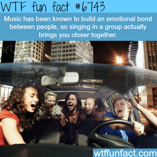 Music brings people together - WTF fun fact