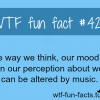 music facts