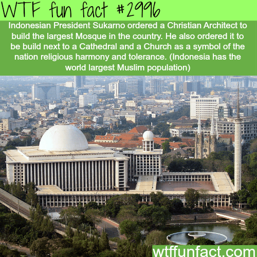 Muslims and Christians in Indonesia -  WTF fun facts