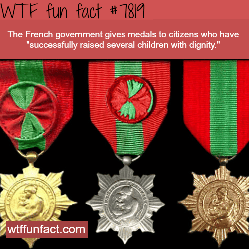 Médaille de la Famille française - WTF fun facts