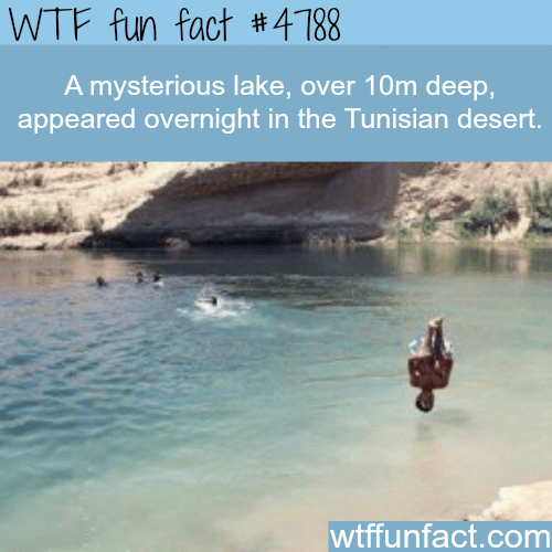 Mysterious lake appeared overnight in the desert - WTF fun facts