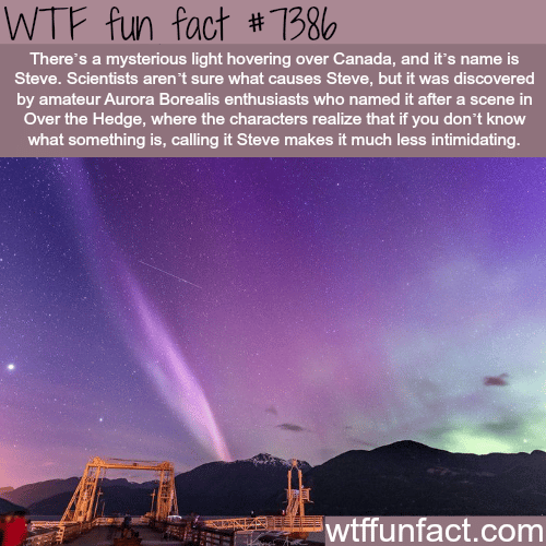 Mysterious light hovering over Canada - WTF fun facts