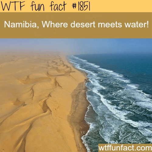 namibia desert meets water