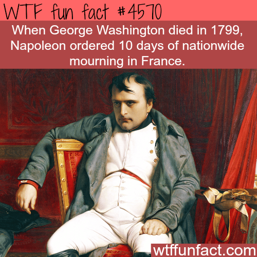 Napoleon and George Washington -   WTF fun facts