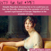 napoleons first wife wtf fun facts
