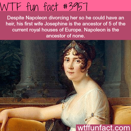 Napoleon’s first wife - WTF fun facts 