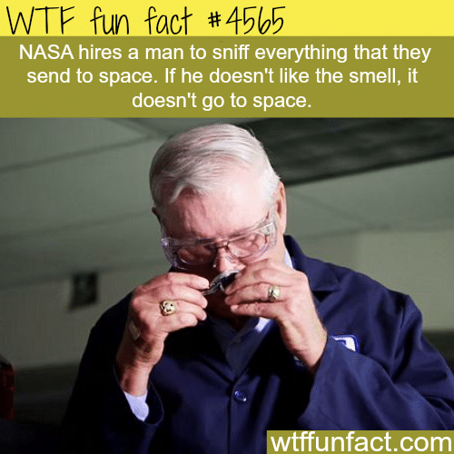 NASA has a “Chief Sniffer” -   WTF fun facts