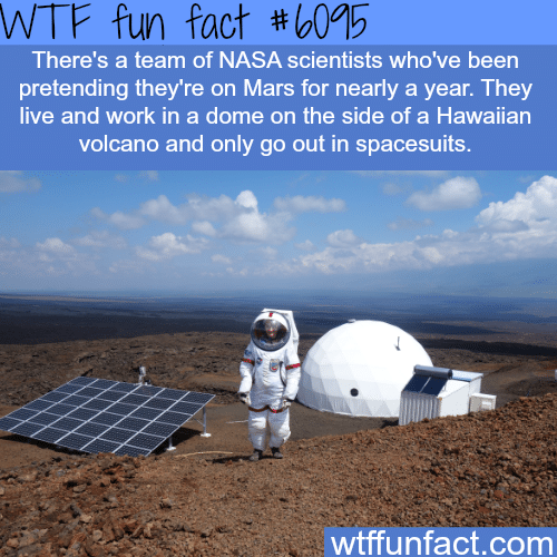 NASA team pretending that they are living on Mars - WTF fun facts