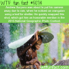national geographic top photos of 2015 wtf fun