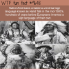 native americans created a universal sign language