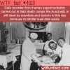 nazi experimentation on humans wtf fun facts
