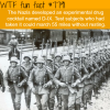 nazi super soldiers wtf fun facts