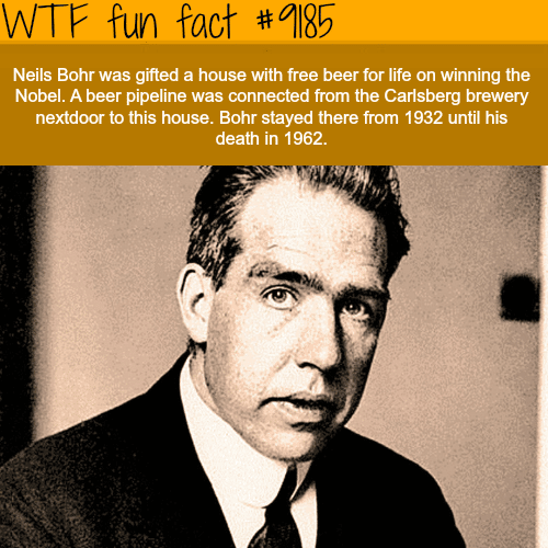 Neil Bohr - WTF Fun Facts