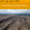 new ocean forming in africa wtf fun facts
