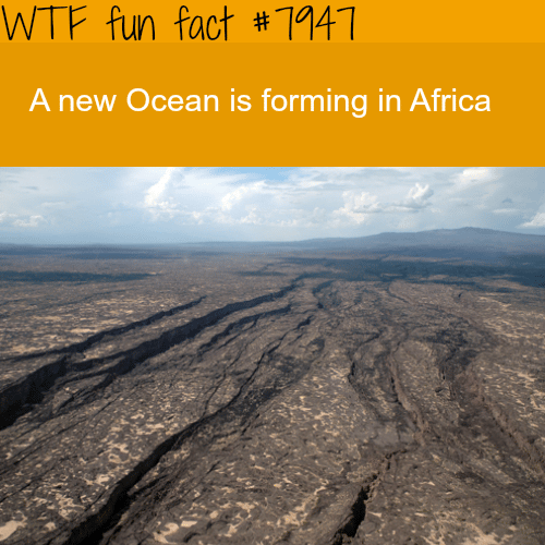 New Ocean forming in Africa - WTF fun facts 