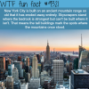 new york city wtf fun facts