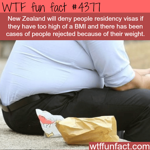New Zealand denies obese people residency visas -   WTF fun facts