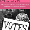 new zealand wtf fun facts