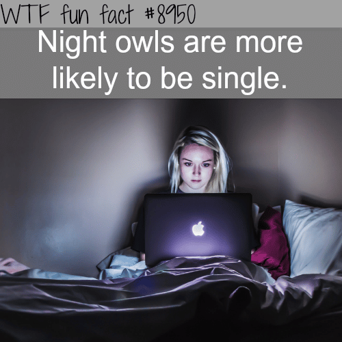 Night owls are more likely to be single - WTF fun fact