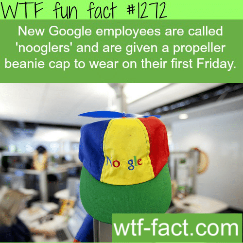 new Google employees are called ‘nooglers’ and are given a propeller beanie cap to wear on their first Friday.