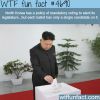 north korea elections wtf fun facts
