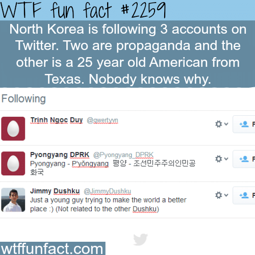 North Korea twitter account - WTF fun facts
