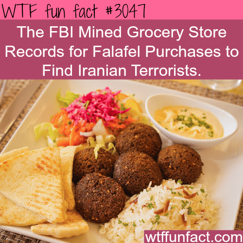 Are you kidding? Falafel is associated with terrorists -  WTF fun facts