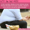 obesity in rich and poor countries wtf fun facts