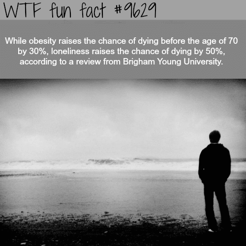 Obesity vs loneliness - WTF fun fact