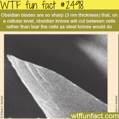 Obsidian Blades - WTF fun facts