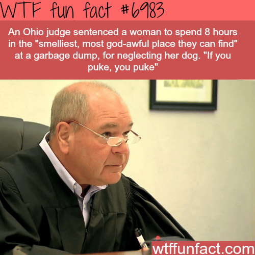 Ohio judge gives out unusual punishments - WTF fun fact