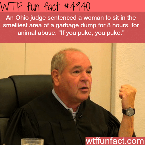 Ohio judge gives unusual punishment - WTF fun facts  
