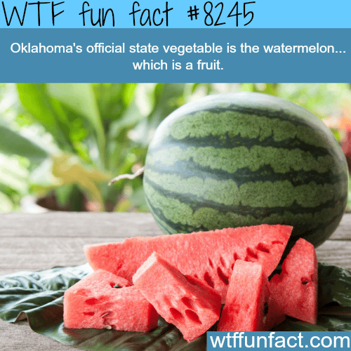 Oklahoma’s official state vegetable - WTF fun facts