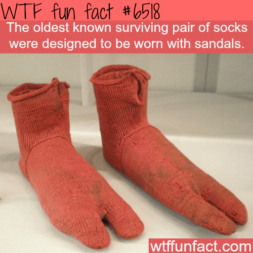 Oldest socks in the world - WTF fun facts